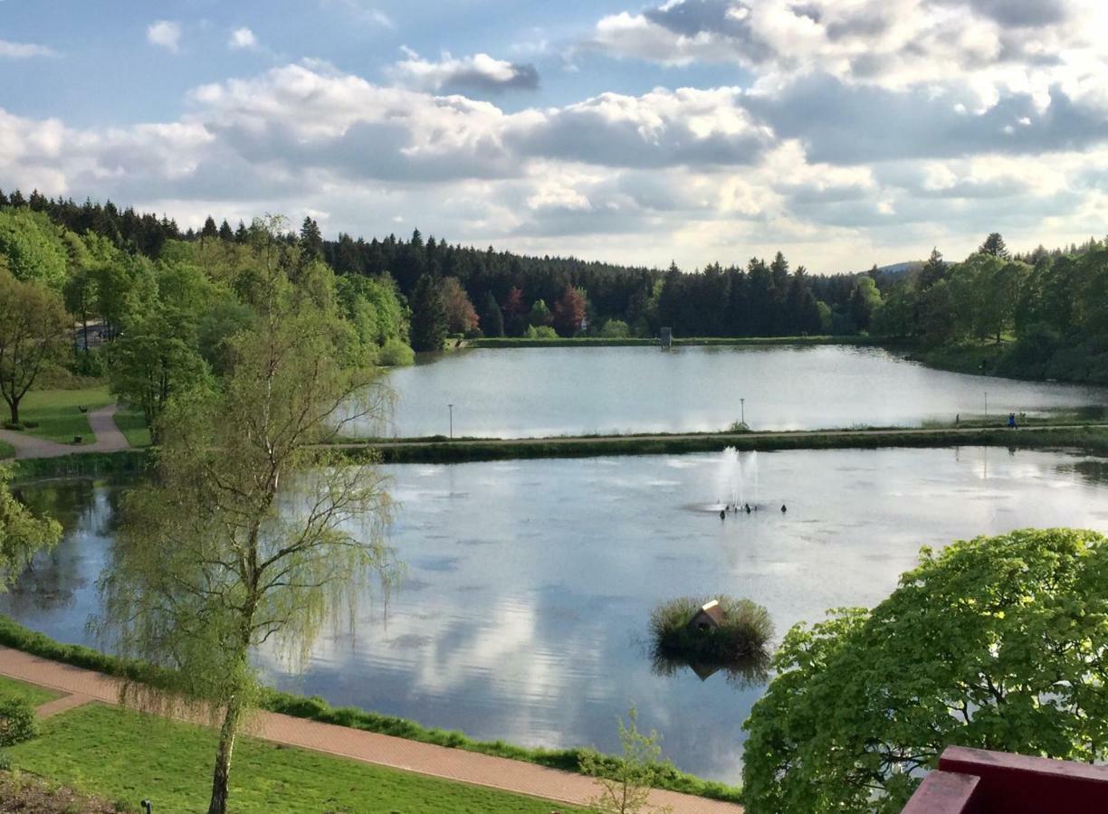 Seesicht Appartements Am Kranichsee Goslar Esterno foto