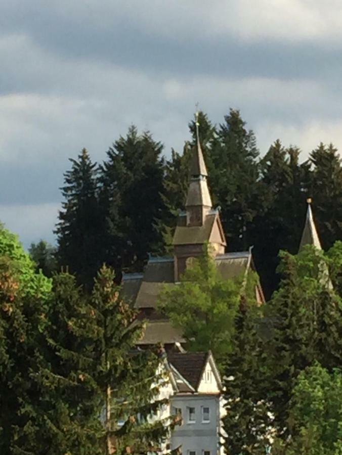 Seesicht Appartements Am Kranichsee Goslar Esterno foto