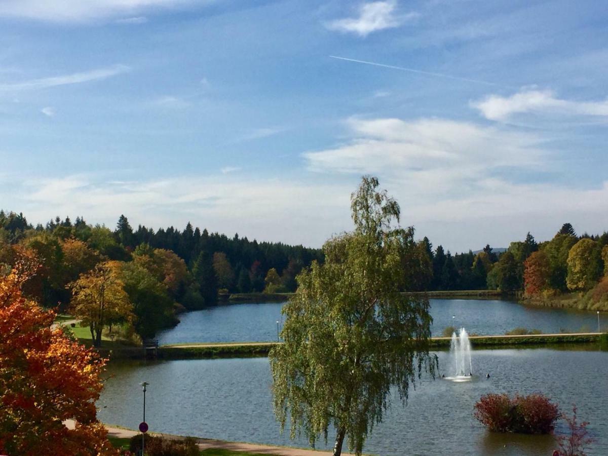 Seesicht Appartements Am Kranichsee Goslar Esterno foto
